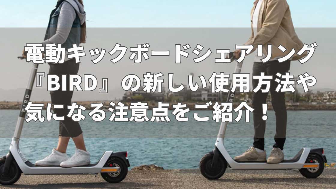 電動キックボードシェアリング『BIRD』の新しい使用方法や気になる注意点をご紹介！ | 多摩中央葬祭